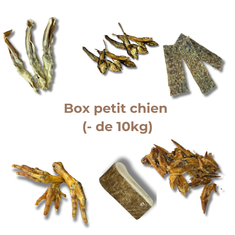 Box de mastication "Petit chien"