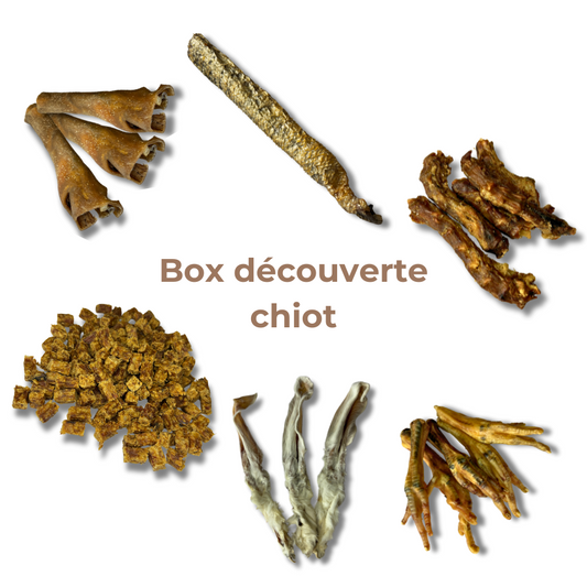 Box de Découverte pour Chiot - Mastications Naturelles