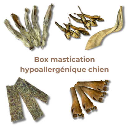 Box Mastication Hypoallergénique pour Chiens