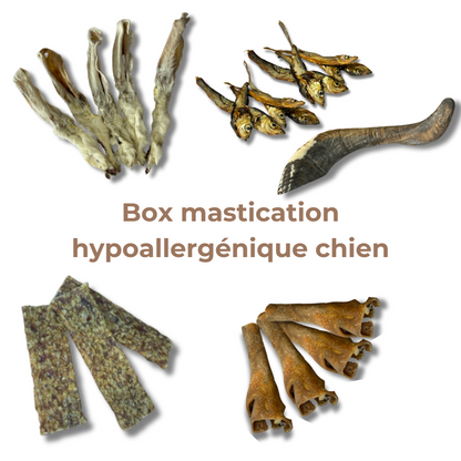 Box Mastication Hypoallergénique pour Chiens