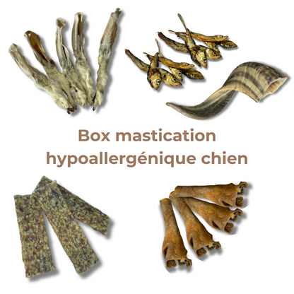 Box Mastication Hypoallergénique pour Chiens