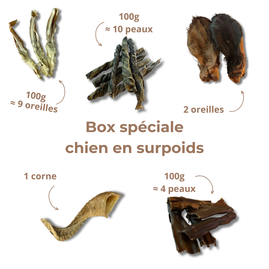 Box Spéciale "Chien en Surpoids"