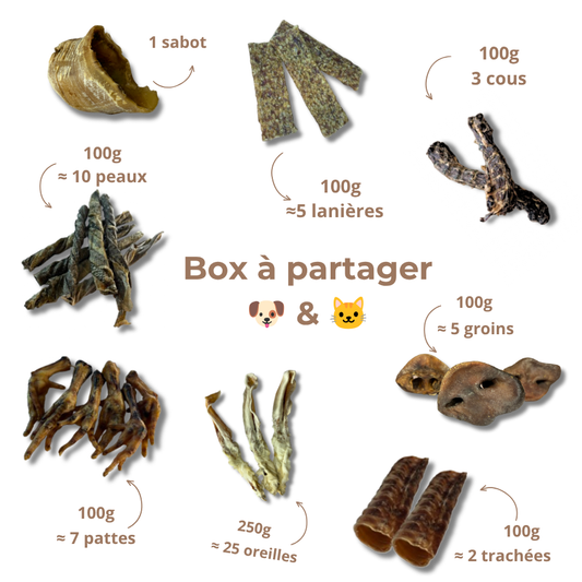 Box de mastication à partager 🐶 & 🐱