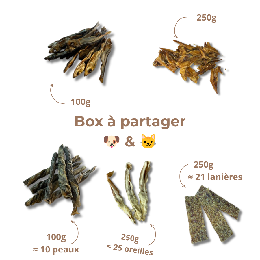 Box de mastication à partager 🐶 & 🐱