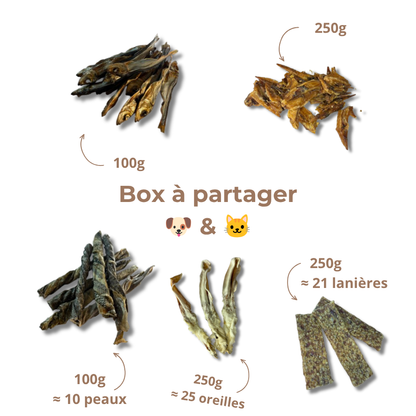 Box de mastication à partager 🐶 & 🐱