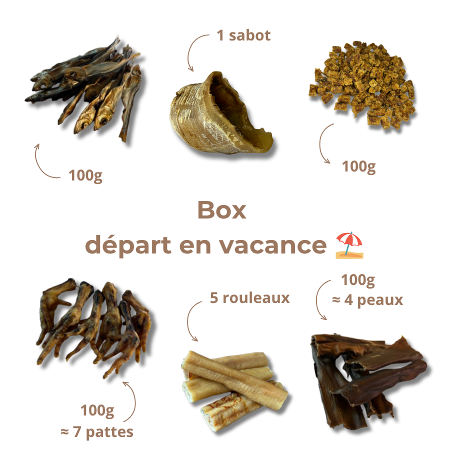 Box départ en vacances 🏖️