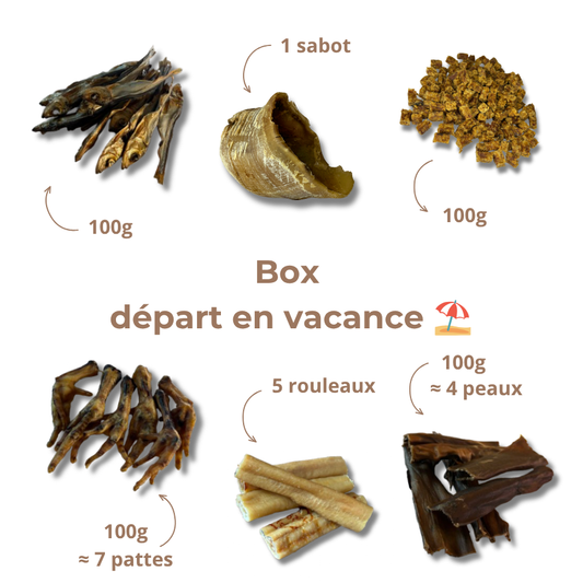 Box départ en vacances 🏖️