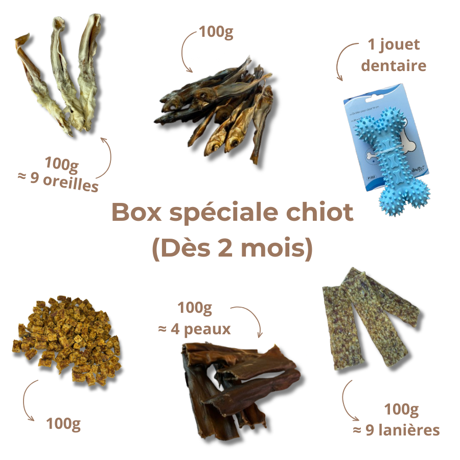 Box de Mastication Spéciale Chiot – Dès 2 Mois