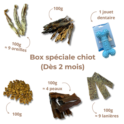 Box de Mastication Spéciale Chiot – Dès 2 Mois