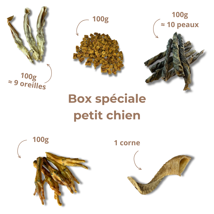 Box de mastication "Petit chien"