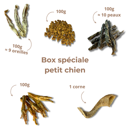 Box de mastication "Petit chien"