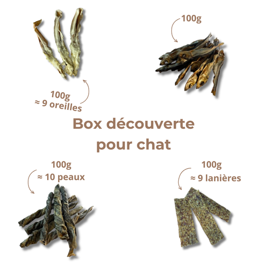 Box de Mastication pour Chat