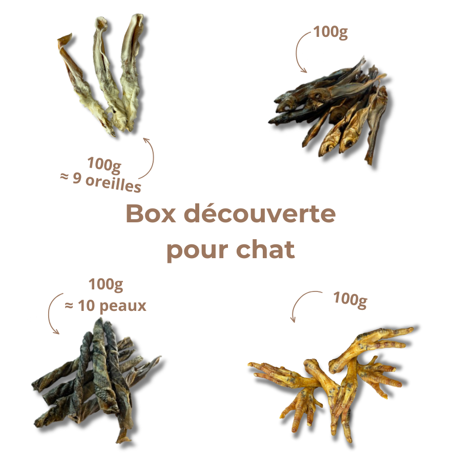 Box de Mastication pour Chat