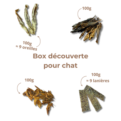 Box de Mastication pour Chat