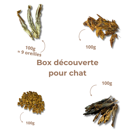Box de Mastication pour Chat