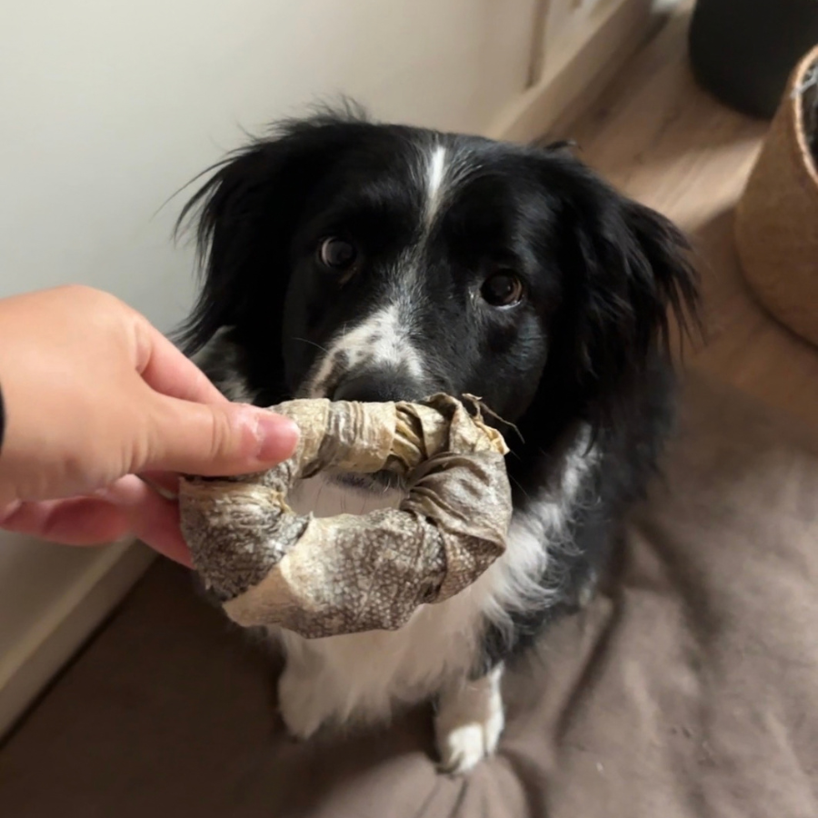 Donuts peau de cabillaud - Mastication courte & gourmande pour chien