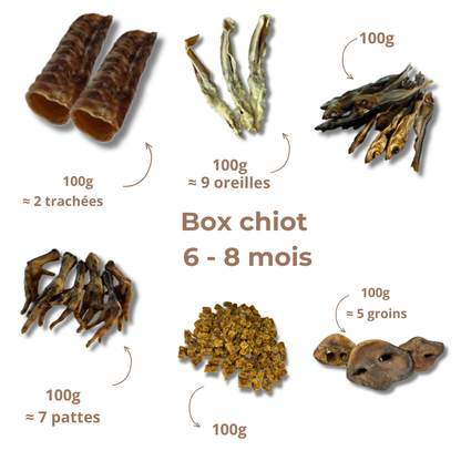 Box de mastication chiot - De 6 à 8 mois
