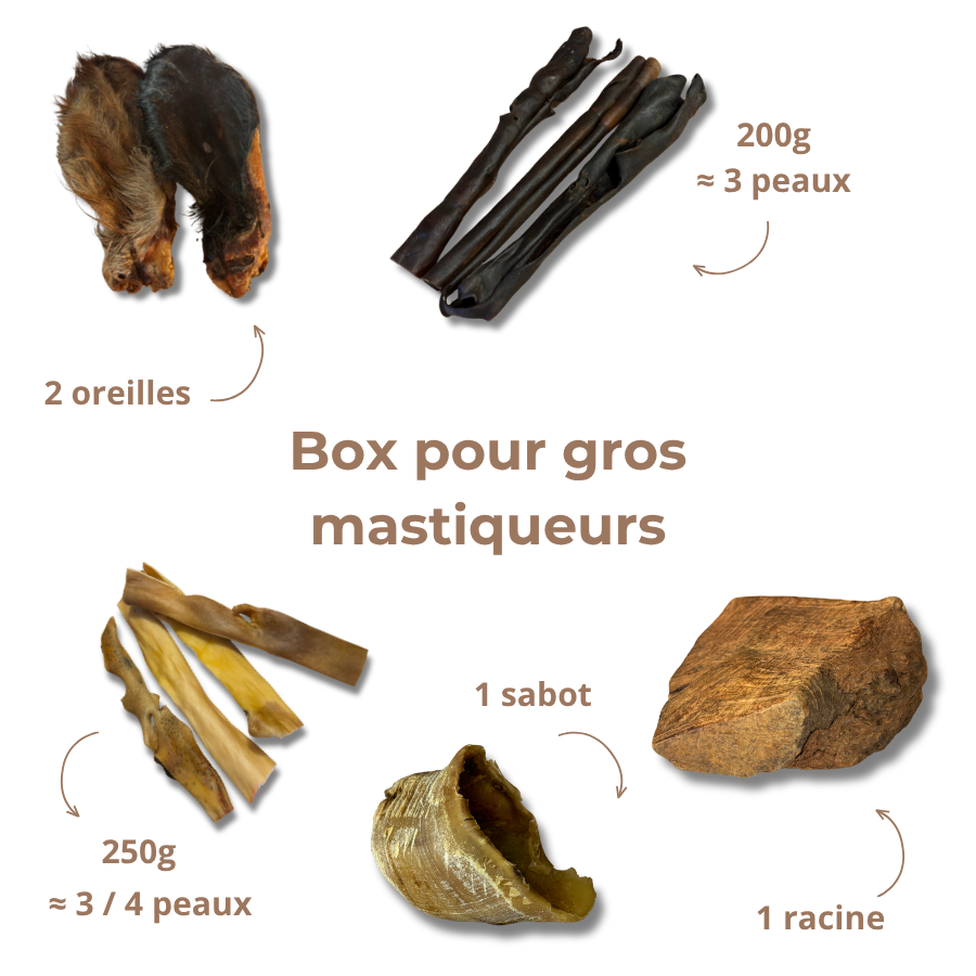 Box de mastication " gros mastiqueur "