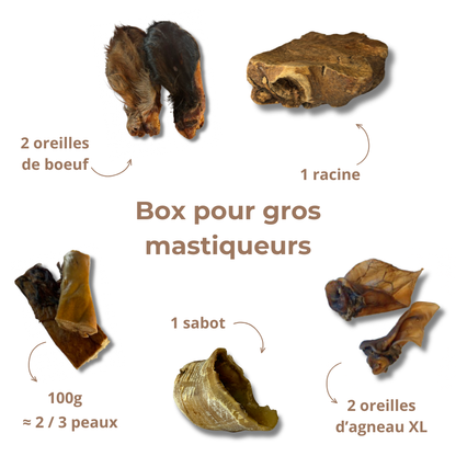 Box de mastication " gros mastiqueur "