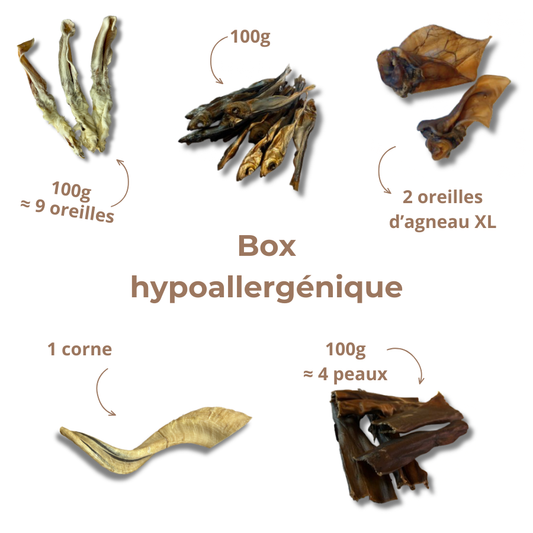 Box Mastication Hypoallergénique pour Chiens