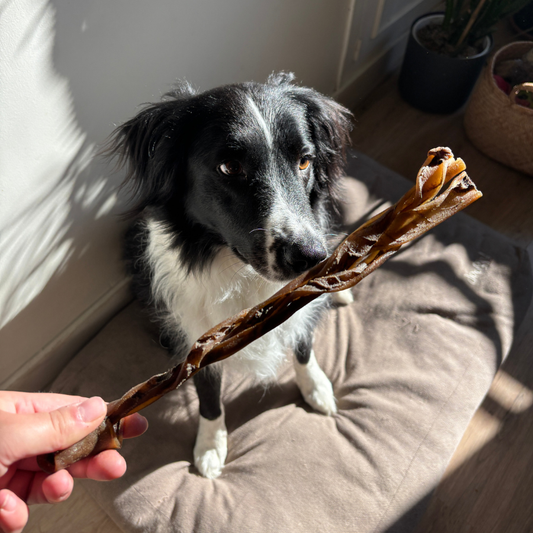 Tresse en peau de chameau - 100g - Mastication de moyenne durée pour chien