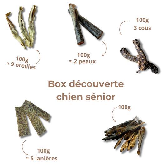 Box de mastication senior