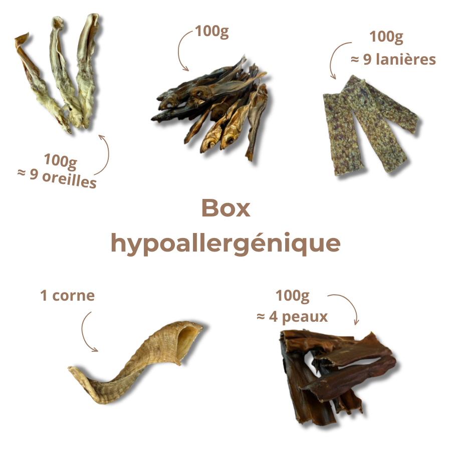 Box Mastication Hypoallergénique pour Chiens