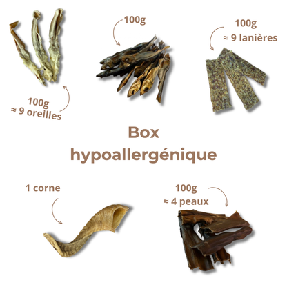 Box Mastication Hypoallergénique pour Chiens