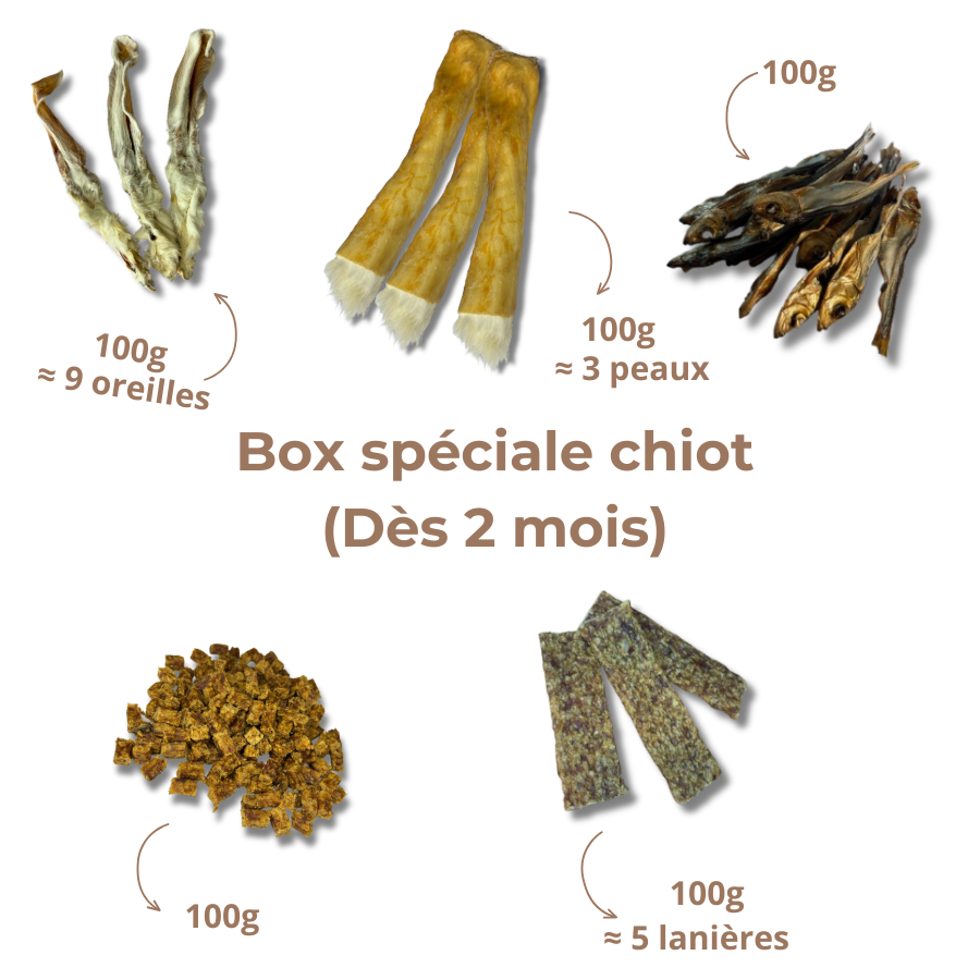 Box de mastication chiot - Dès 2 mois