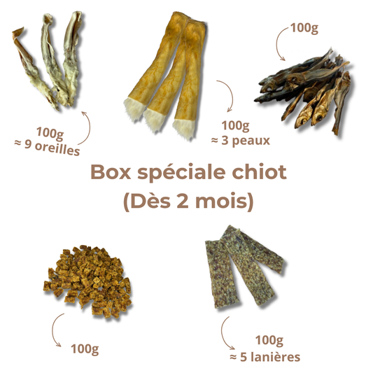 Box de mastication chiot - Dès 2 mois