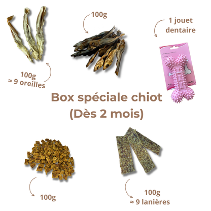 Box de Mastication Spéciale Chiot – Dès 2 Mois
