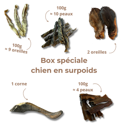 Box Spéciale "Chien en Surpoids"