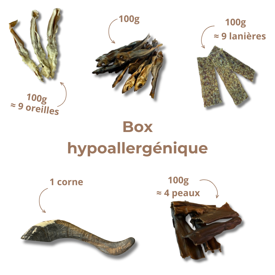 Box Mastication Hypoallergénique pour Chiens