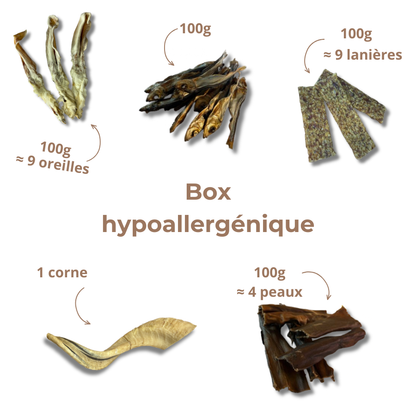 Box Mastication Hypoallergénique pour Chiens