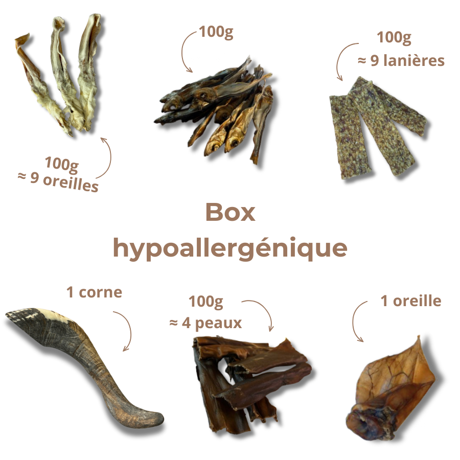 Box de mastication - Chien sensible & allergique