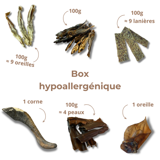 Box de mastication - Chien sensible & allergique