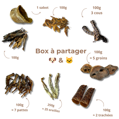 Box de mastication à partager 🐶 & 🐱