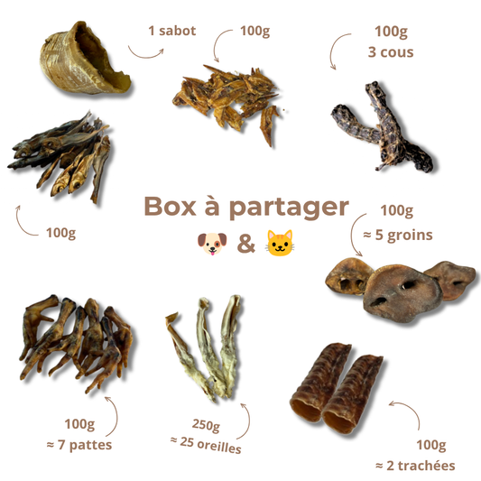 Box de mastication à partager 🐶 & 🐱