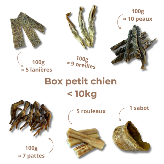 Box de mastication petit chien – Moins de 10 kg