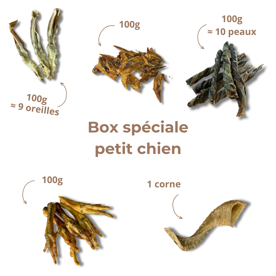 Box de mastication "Petit chien"