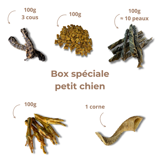 Box de mastication "Petit chien"