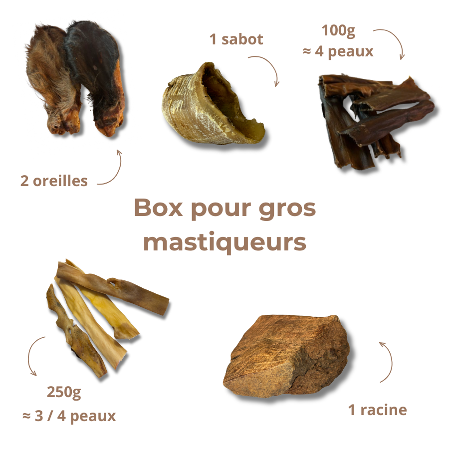 Box de mastication " gros mastiqueur "