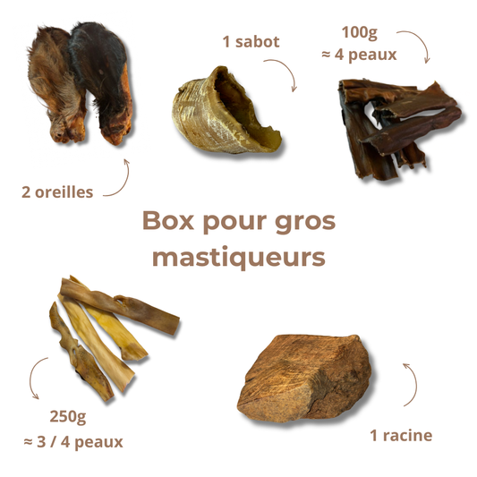 Box de mastication " gros mastiqueur "