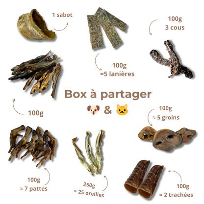 Box de mastication à partager 🐶 & 🐱