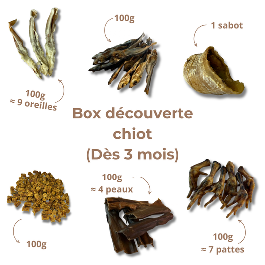 Box de mastication chiot – Dès 3 mois