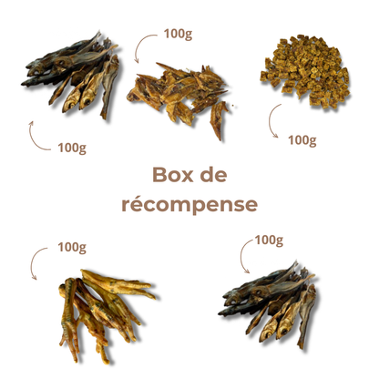 Box de Récompenses