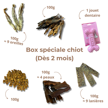 Box de Mastication Spéciale Chiot – Dès 2 Mois