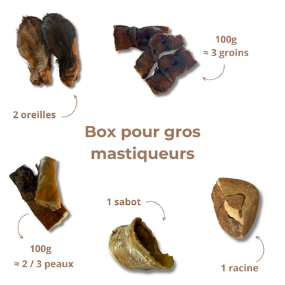 Box de Mastication "Gros Mastiqueur" - Pour les Mâcheurs Acharnés