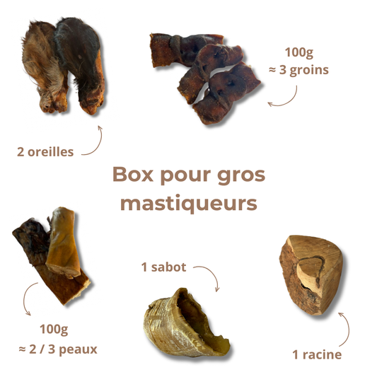 Box de Mastication "Gros Mastiqueur" - Pour les Mâcheurs Acharnés