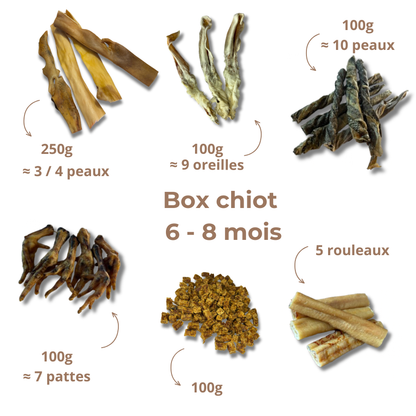 Box de mastication chiot - De 6 à 8 mois